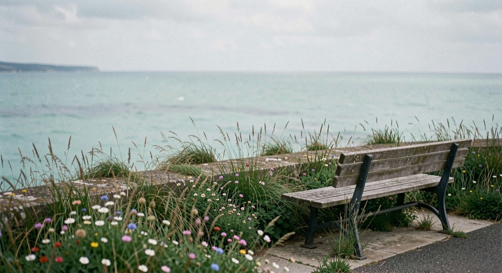 Vinyeta de la peça: Baluard amb herba alta i flors petites, mar verd blau clar al fons i un banc buit sota un matí gris blau tendre.